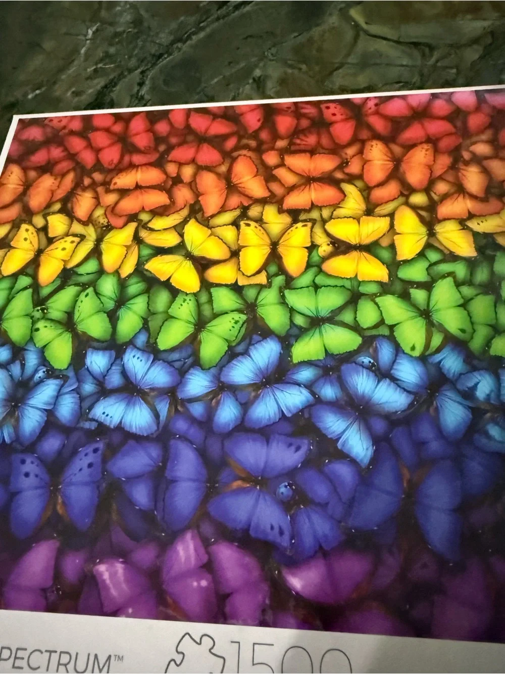 Vibrant Rainbow Butterfly Wall Art Print - Multicolor Puzzle